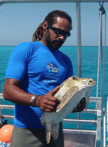 Andre Miller holding a Green Sea turtle for tagging Andre Miller holding a Green Sea turtle for tagging