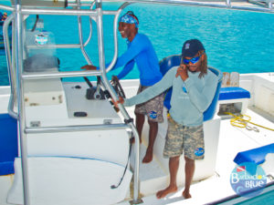 BBC TV in Barbados Blue - save our reefs eat more Lionfish 