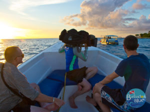 BBC TV in Barbados Blue - save our reefs