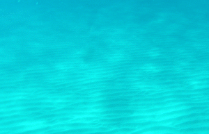 Snorkeling in the beautiful Barbados Blue Ahhhhhh
