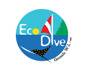 Visit ECO Dive Grenada