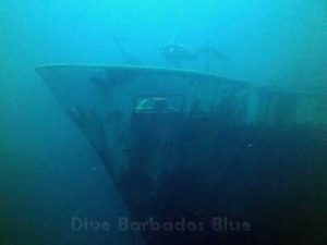 barbados-blue-facebook-bow-wm