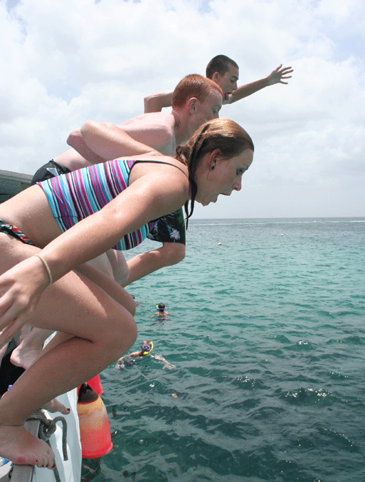 taking the plunge taking the plunge