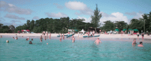 Cruise to Run, getting ready for the Carlisle Bay swim Cruise to Run, getting ready for the Carlisle Bay swim