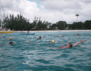 Cruise to Run Cruise to Run swimmers making their way across Carlisle Bay