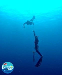 freedive3