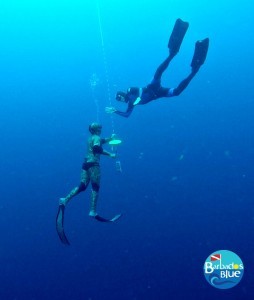 freedive4