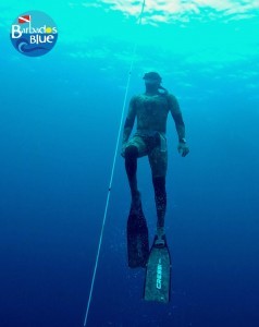 freedive9