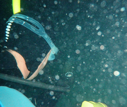 Geoff Goddard Advanced Open Water Student Geoff Goddard navigating in the dark
