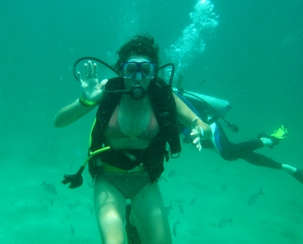 Journeys Through Paradise Making the first dive look easy
