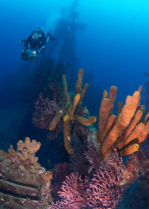 PADI Training – Specialty PADI Training