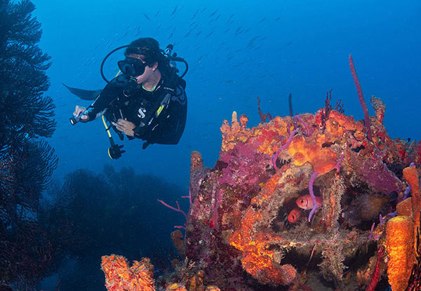 Barbados Blue Watersports PADI Training
