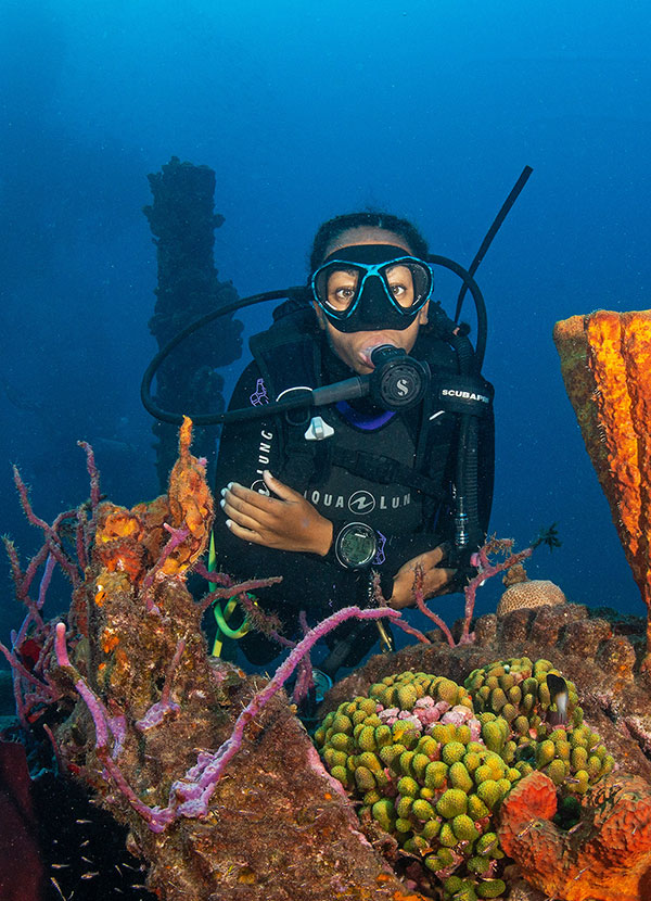 Scuba PADI Training