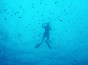 snorkeling in Barbados Blue