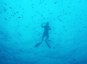 Snorkeling in Barbados snorkeling in Barbados Blue